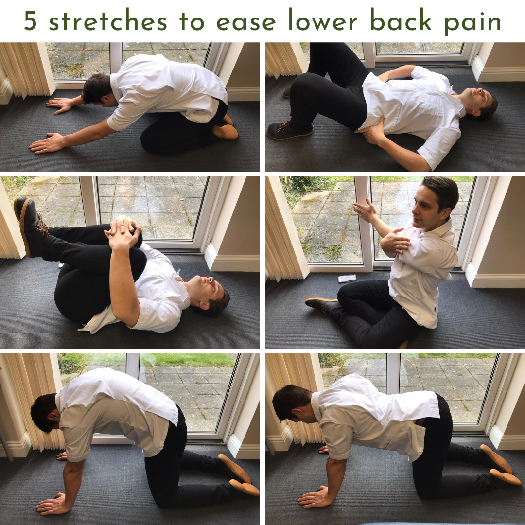 Lower Back Exercises: Ease Your Lower Back Pain